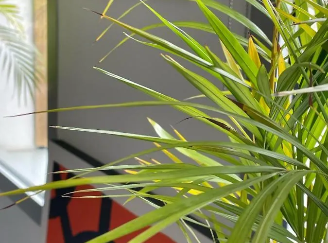 فندق هايب 3*